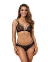 Strings model 164084 Axami
