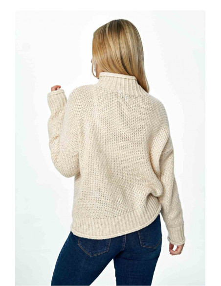 Chandail model 172241 Figl
