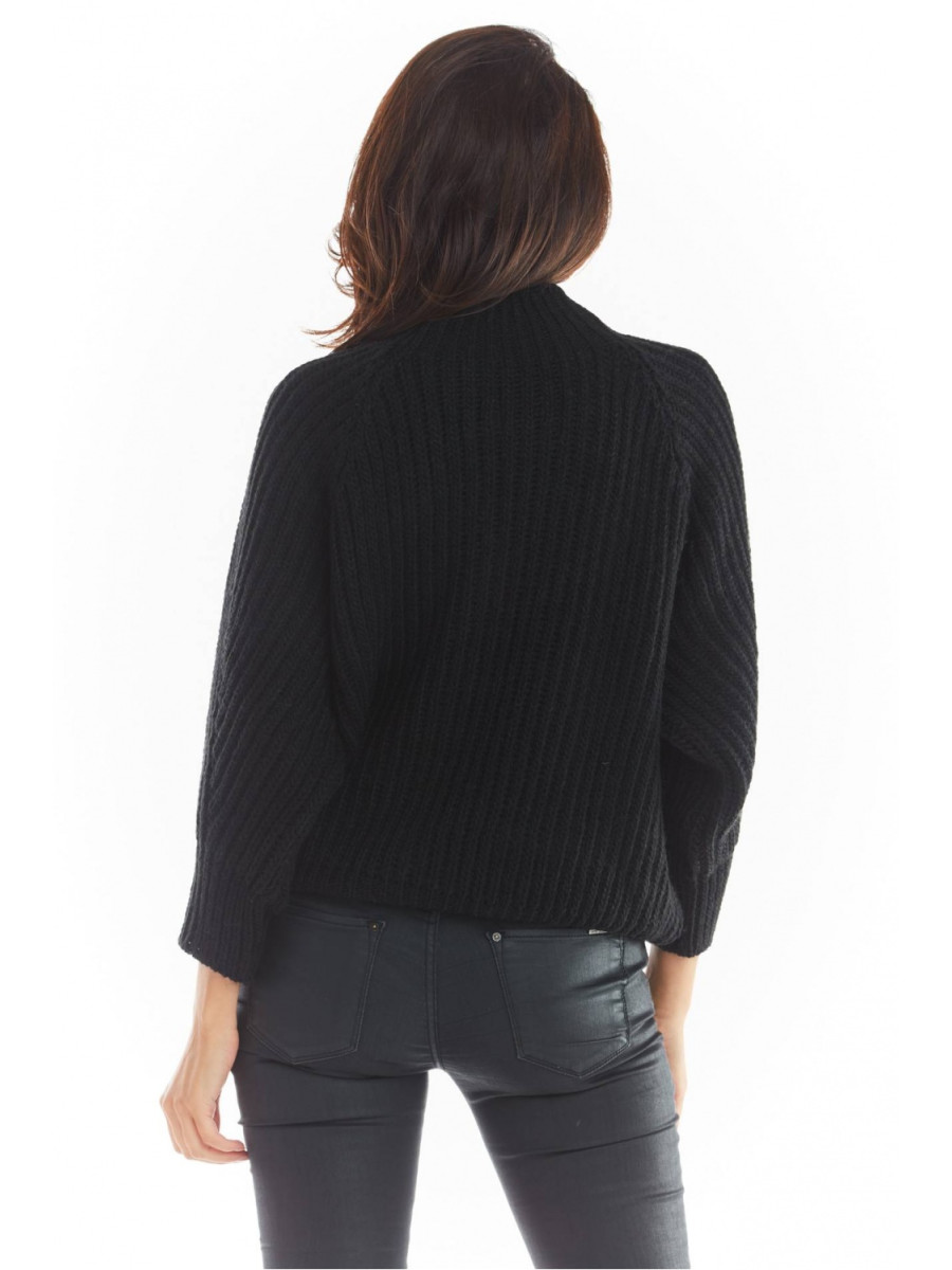 Chandail model 149743 awama