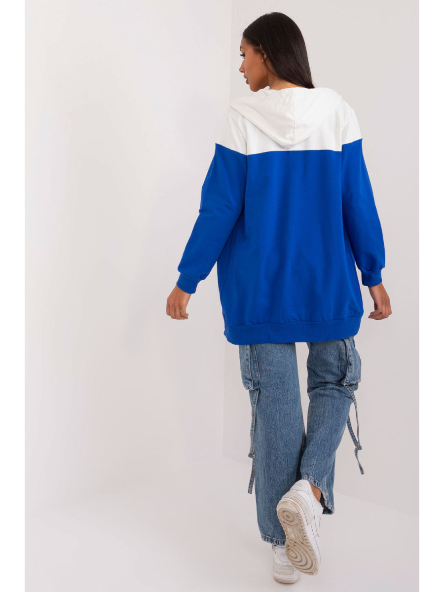 Sweatshirt model 197077 Relevance