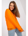 Sweatshirt model 166714 Relevance