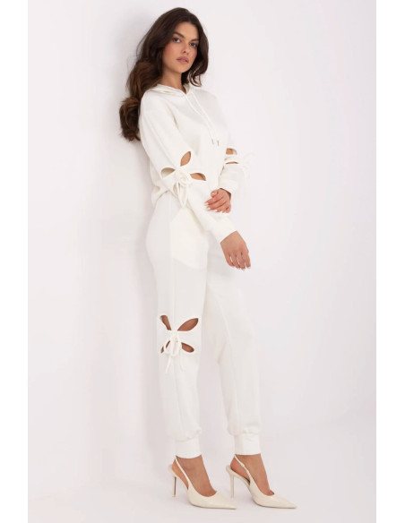 L`ensemble model 210123 NM