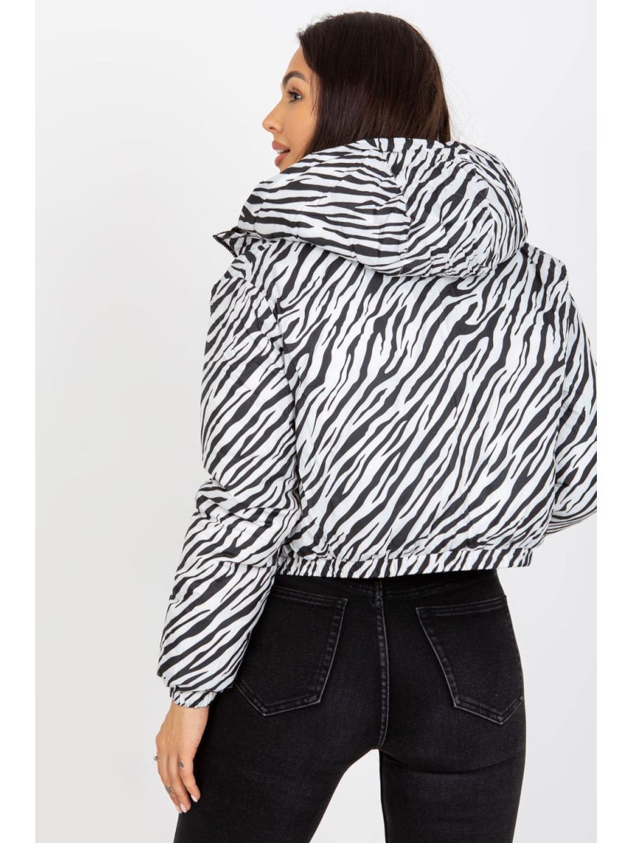 Veste model 172610 NM