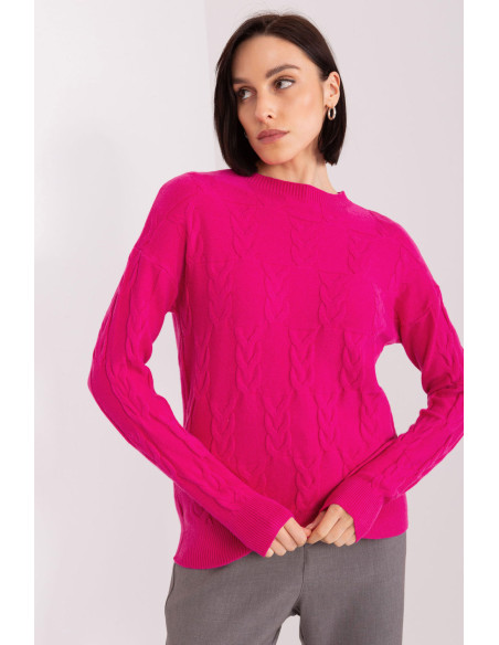 Chandail model 208293 AT