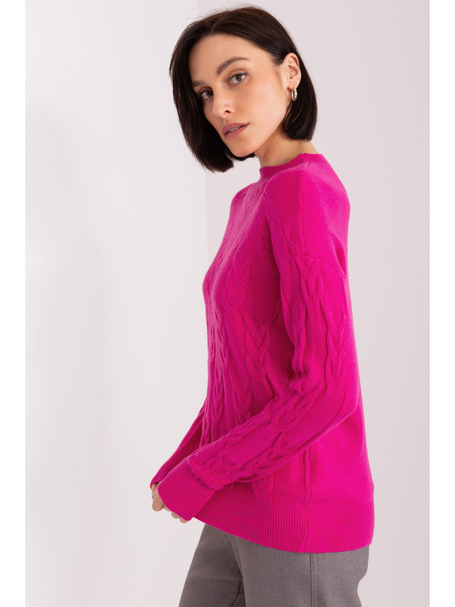 Chandail model 208293 AT