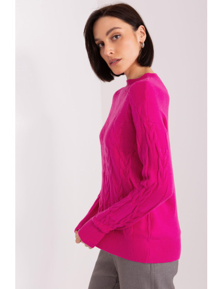 Chandail model 208293 AT