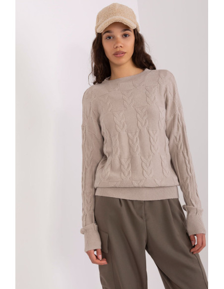 Chandail model 208294 AT