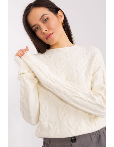 Chandail model 208295 AT
