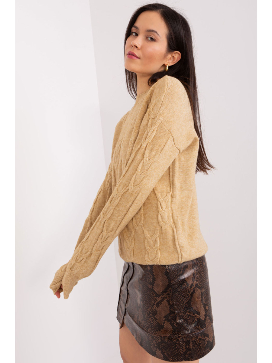 Chandail model 208298 AT