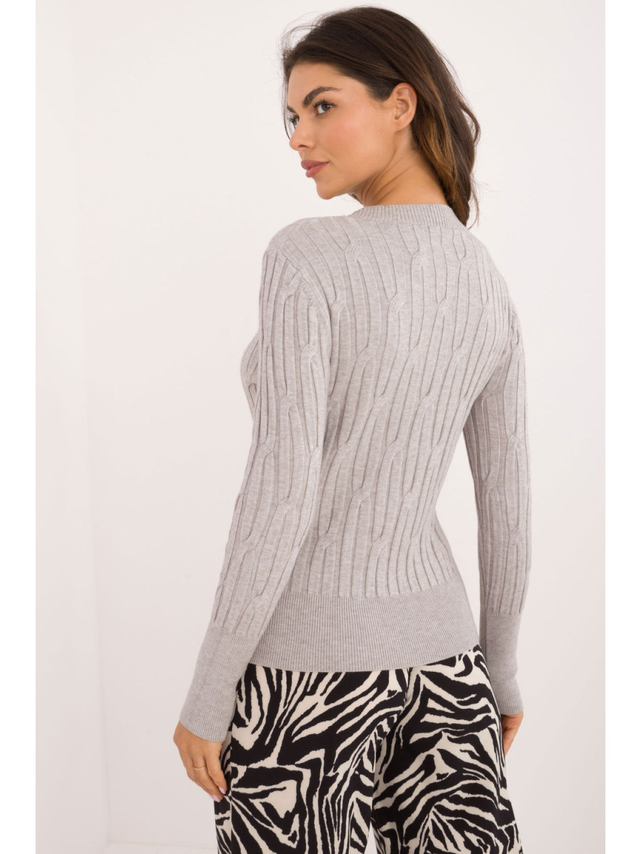 Chandail model 200195 AT