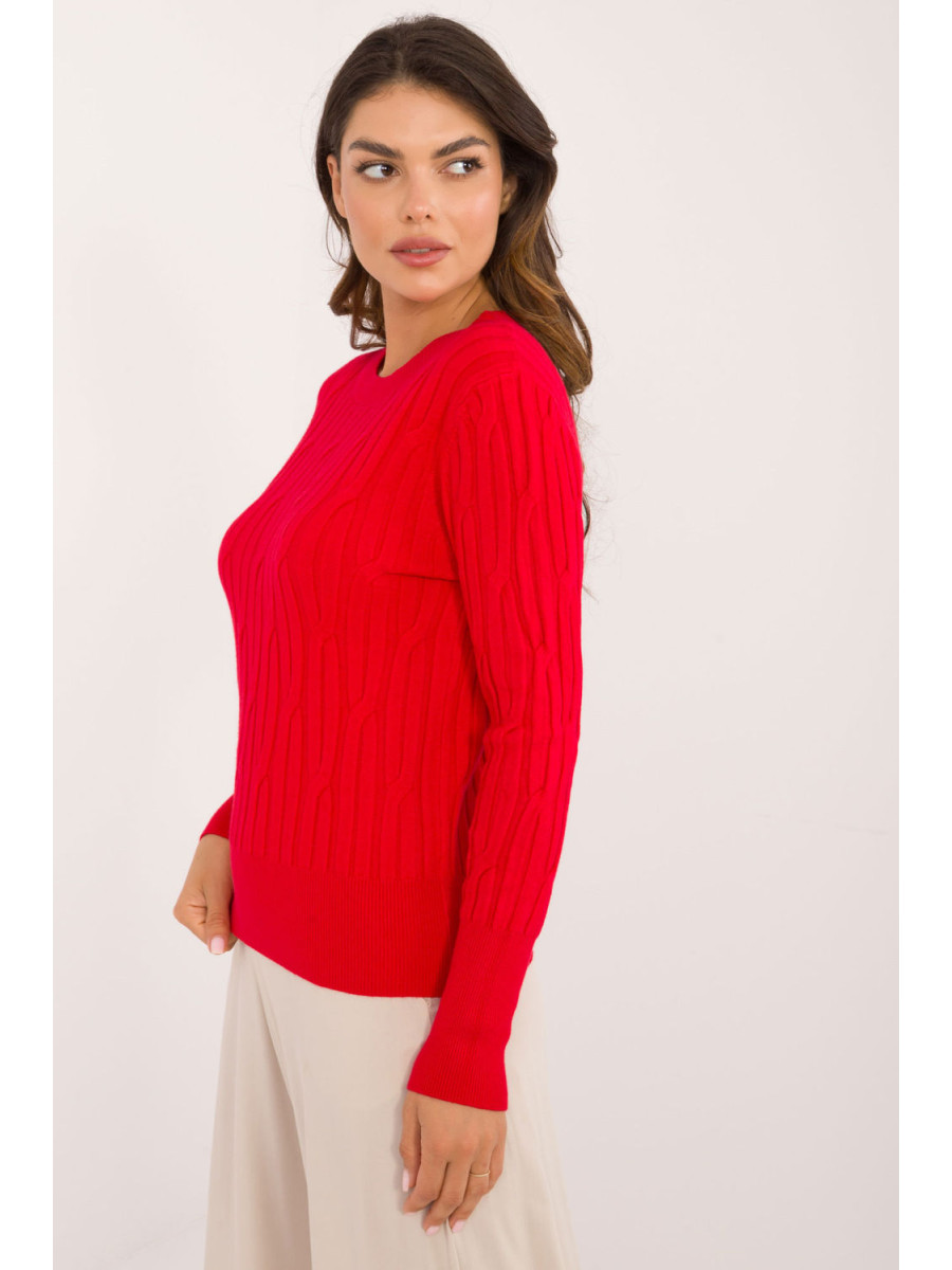 Chandail model 200197 AT