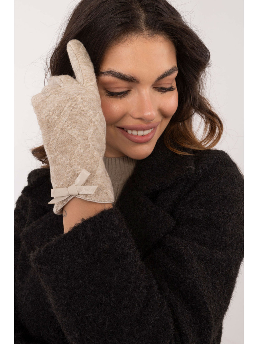 Gants model 202500 AT
