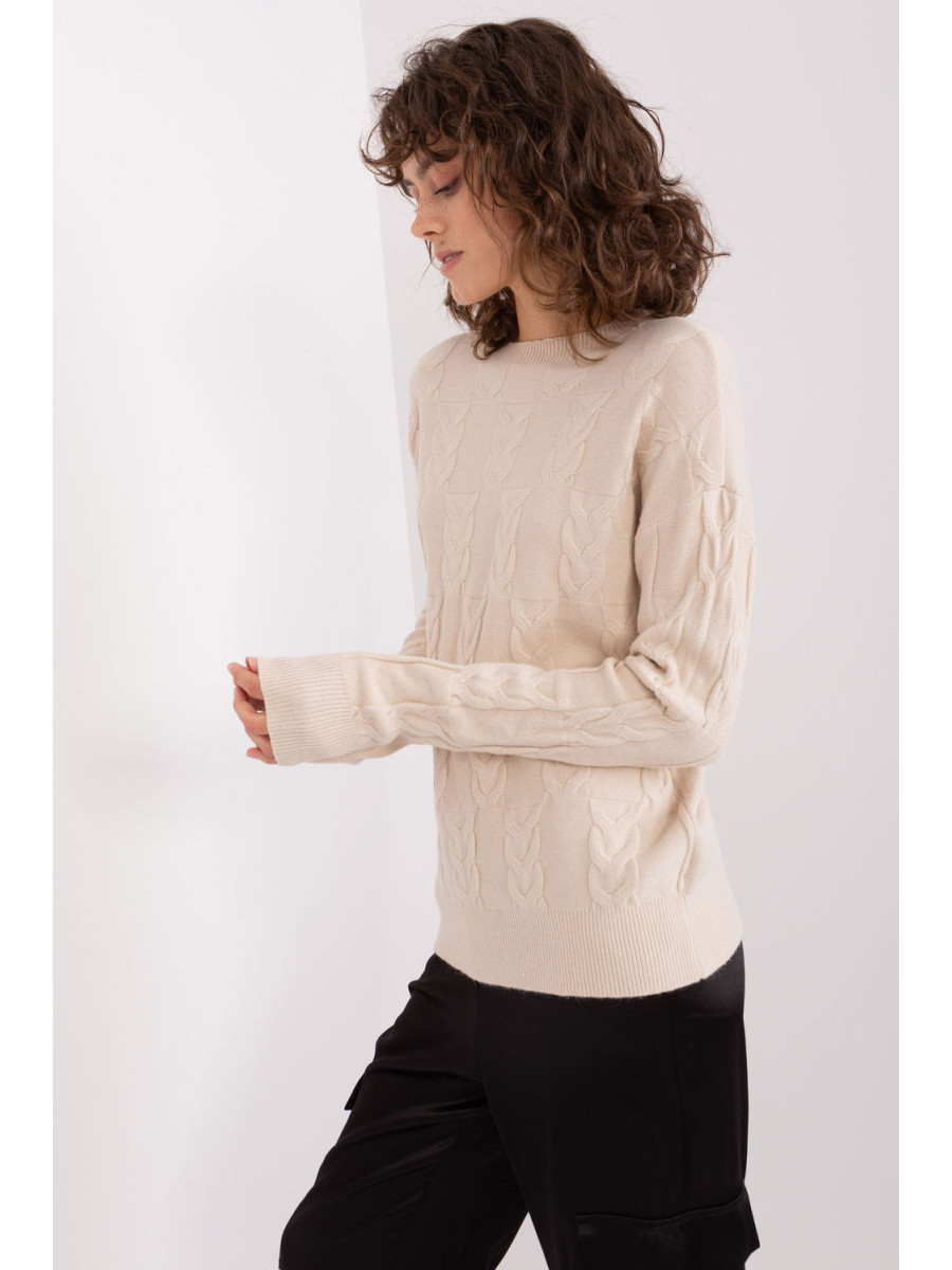 Chandail model 208290 AT