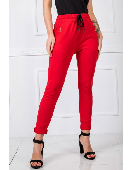 Pantalon survêtement model 166218 BFG