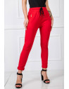 Pantalon survêtement model 166218 BFG