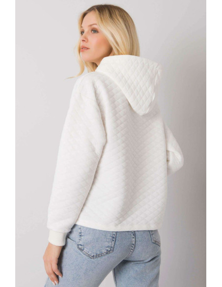 Sweatshirt model 161352 BFG