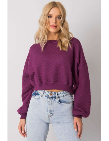 Sweatshirt model 169773 BFG