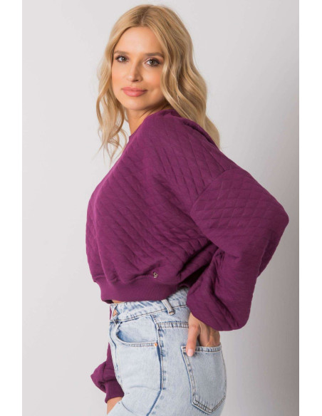 Sweatshirt model 169773 BFG