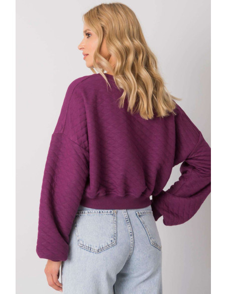 Sweatshirt model 169773 BFG