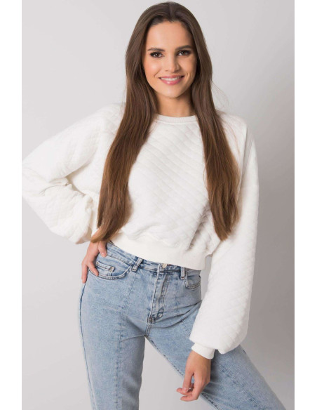 Sweatshirt model 169774 BFG