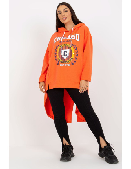Sweatshirt model 172669 Fancy