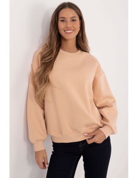 Sweatshirt model 204416 Factory Price