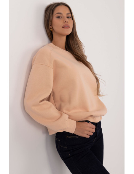 Sweatshirt model 204416 Factory Price