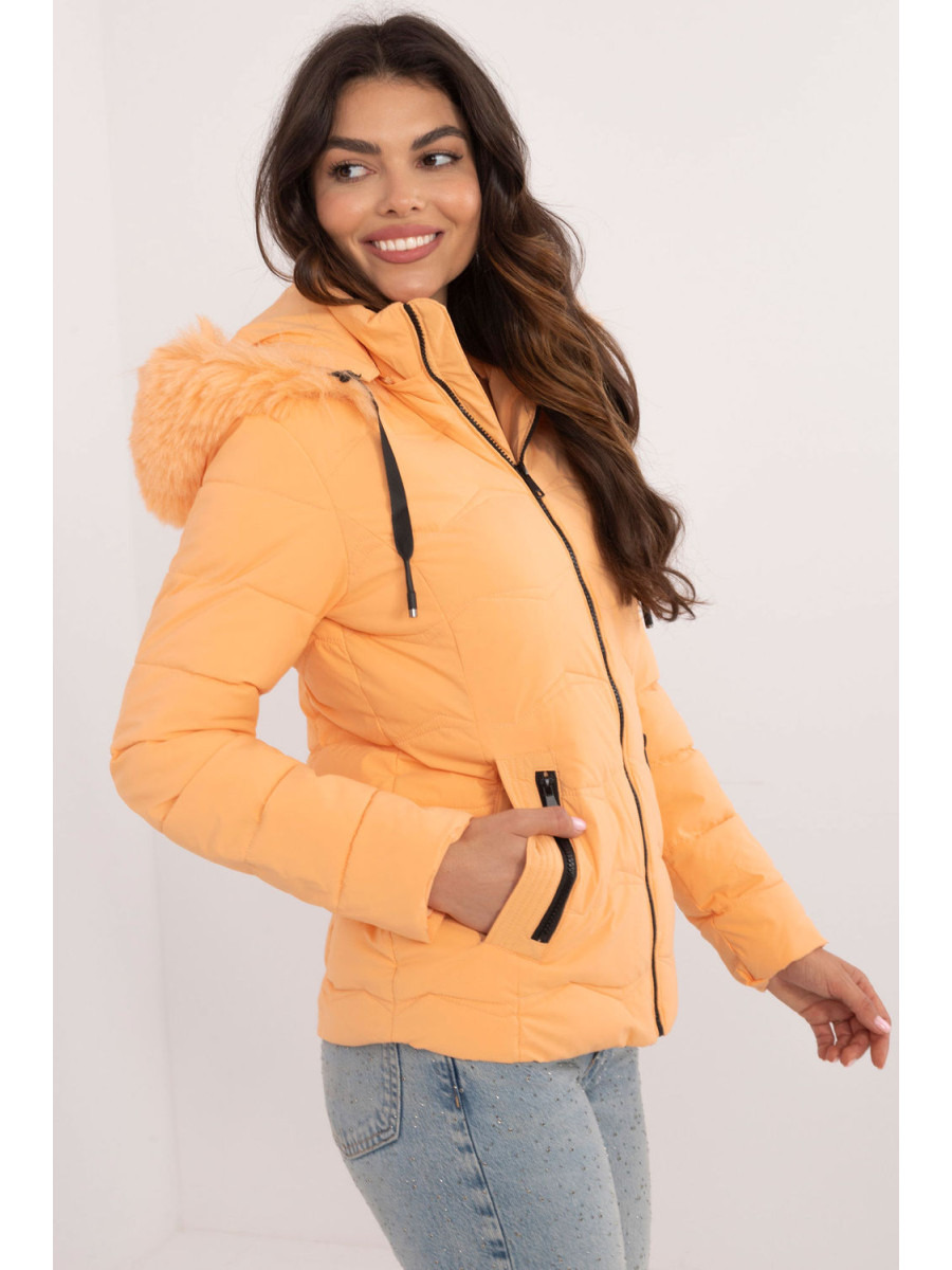 Veste model 202544 Factory Price