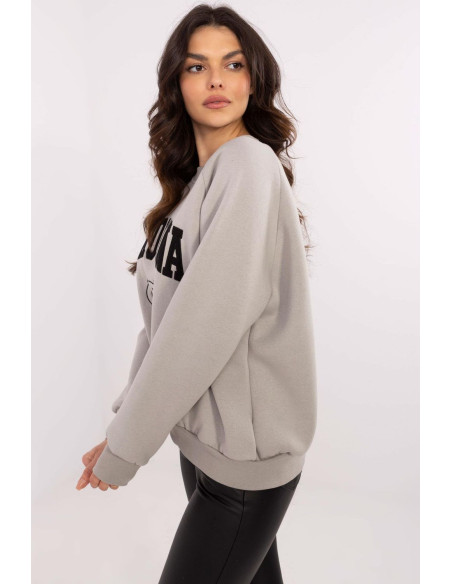 Sweatshirt model 206353 Factory Price