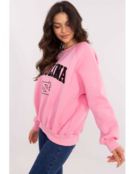 Sweatshirt model 206357 Factory Price