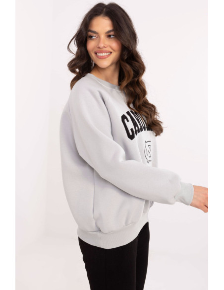 Sweatshirt model 206358 Factory Price