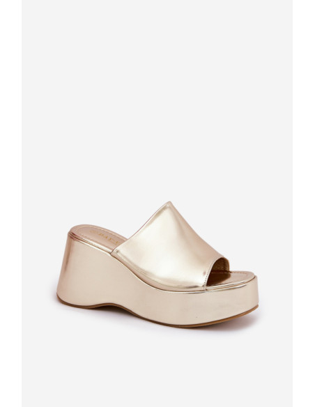 Clacquettes model 211013 Step in style
