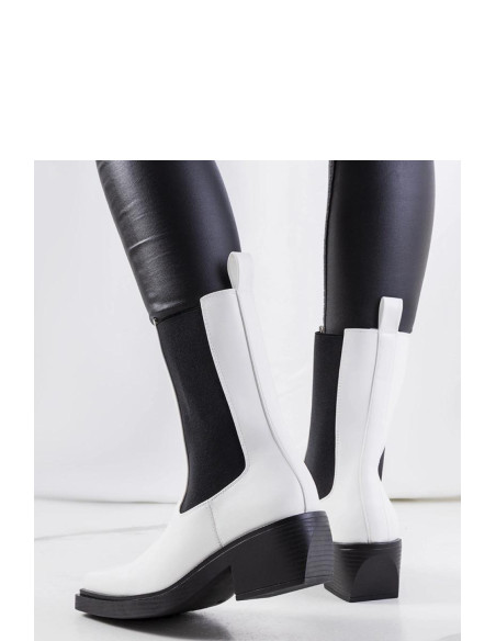Bottes à talons model 205158 Solea