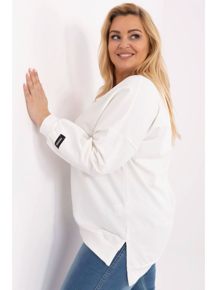 Sweatshirt model 211733 Relevance